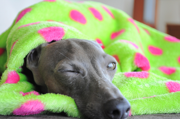 あなたは人間ですか？それとも・・・「寝袋使いの達人」｜それと、ご質問への回答