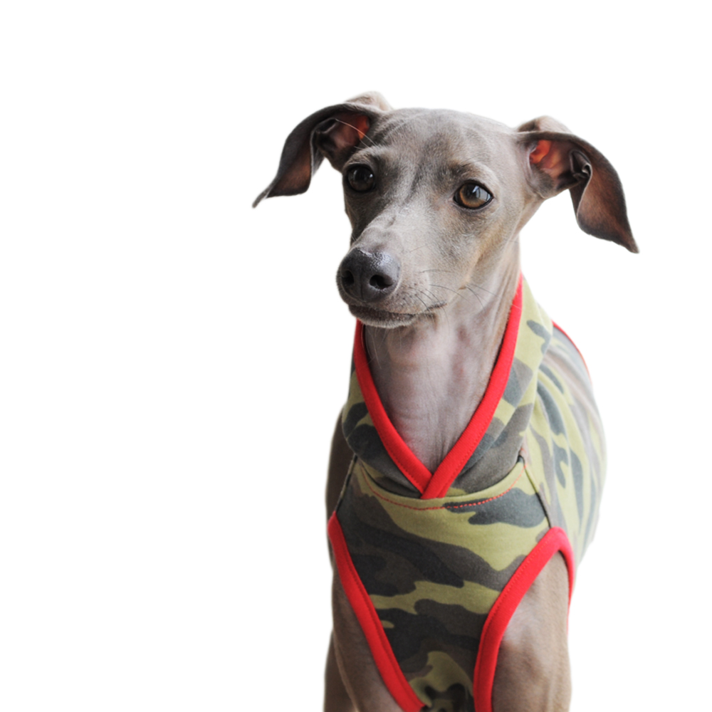 リクエストを頂いていた新作の「イタグレ服迷彩柄」が完成しました！