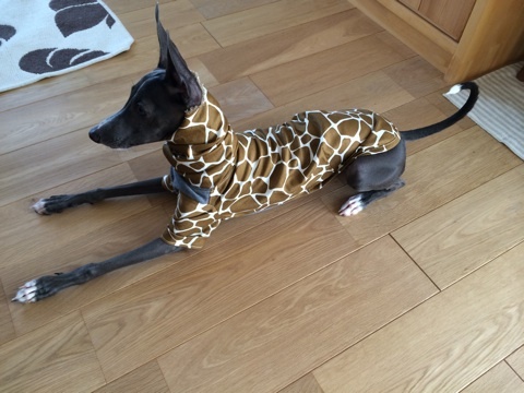 「お客様からのメッセージ」イタキリンわらわら。