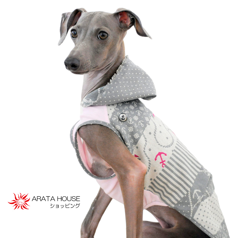 【販売開始】夏にピッタリ!アンカー|ブルーの犬服「小型犬&イタグレ|ウィペット」