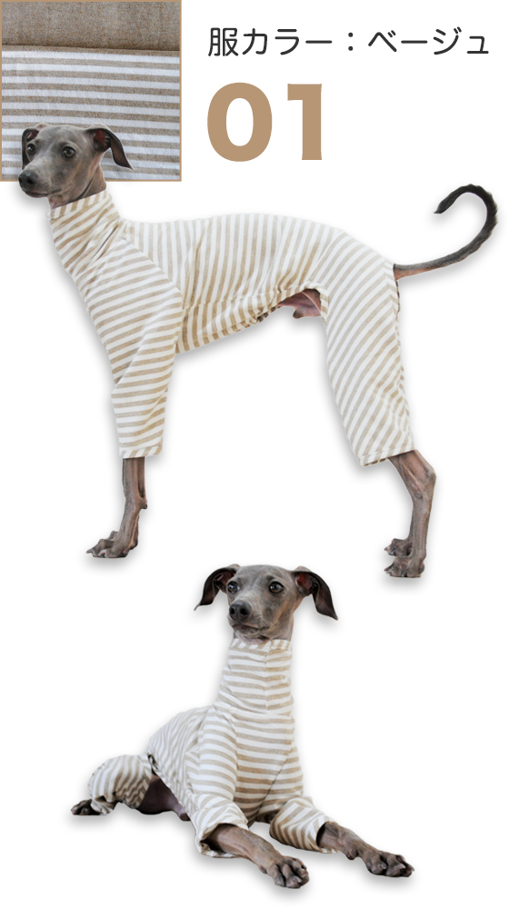 「イタグレ服」秋冬の新作第一弾｜杢天竺ボーダーニットロンパース（選べる３カラー）