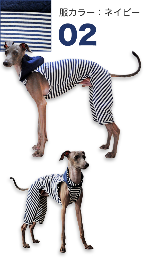 「イタグレ服」秋冬の新作第一弾｜杢天竺ボーダーニットロンパース（選べる３カラー）