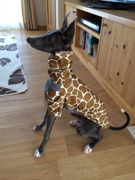 「お客様からのメッセージ」イタキリンわらわら。