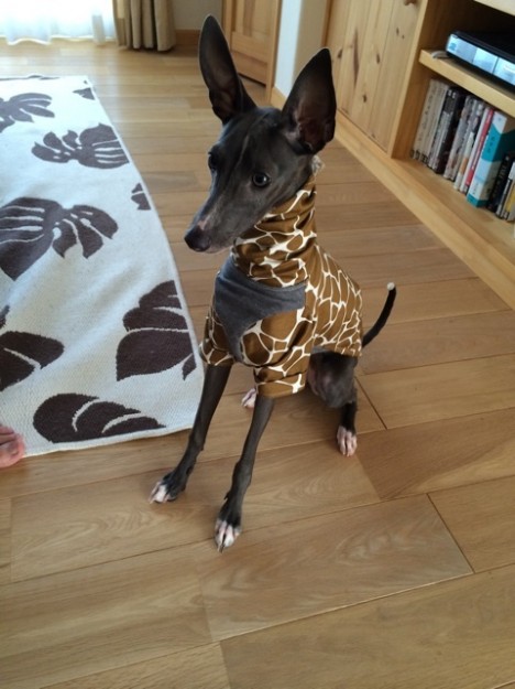 「お客様からのメッセージ」イタキリンわらわら。