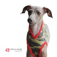 イタグレBuono!のファッションショー「迷彩服でランニング」