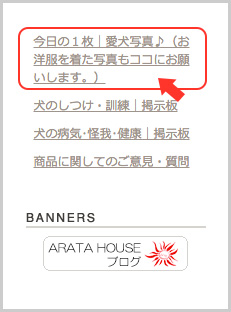 着画を投稿して下さい〜♪｜ARARTA HOUSE掲示板スタート