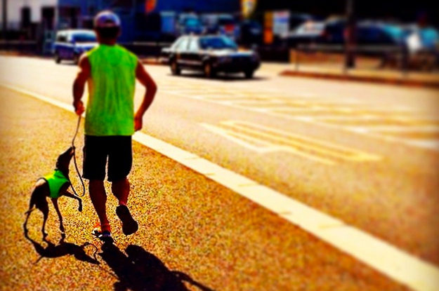 運動の秋と言うことで、9月1日〜9月10日で「100km」走れるかチャレンジしてみた!?そして感じたこと。