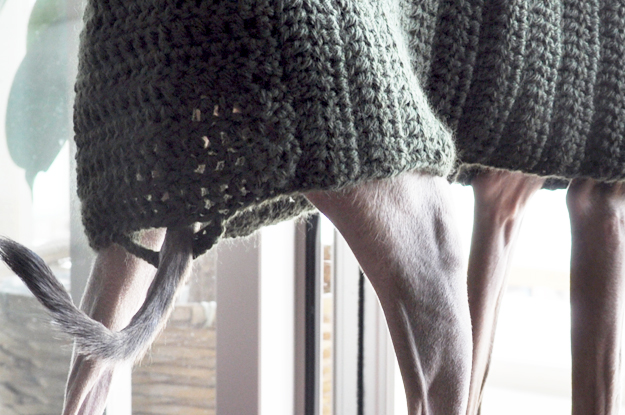 「Mother of Yotchan」イタグレポンチョを編む。