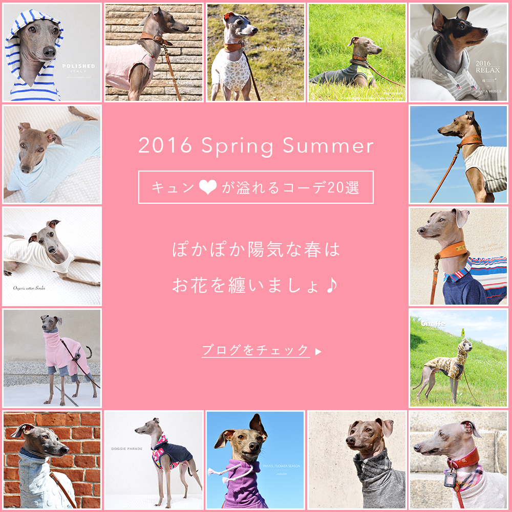 「2016春の犬服」ぽかぽか陽気な春はお花を纏いましょ♪「キュン♡が溢れるコーデ20選」
