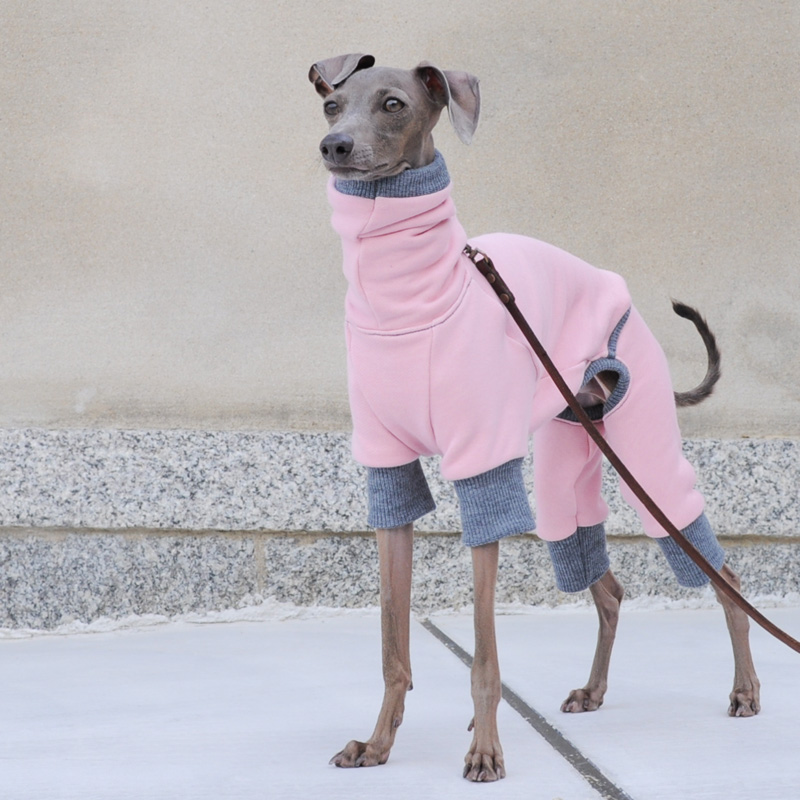 イタグレ・ウィペット犬服｜ロンパース｜トレーナー｜選べる３カラー（ポピーレッド/桜色/イタグレグレイ）