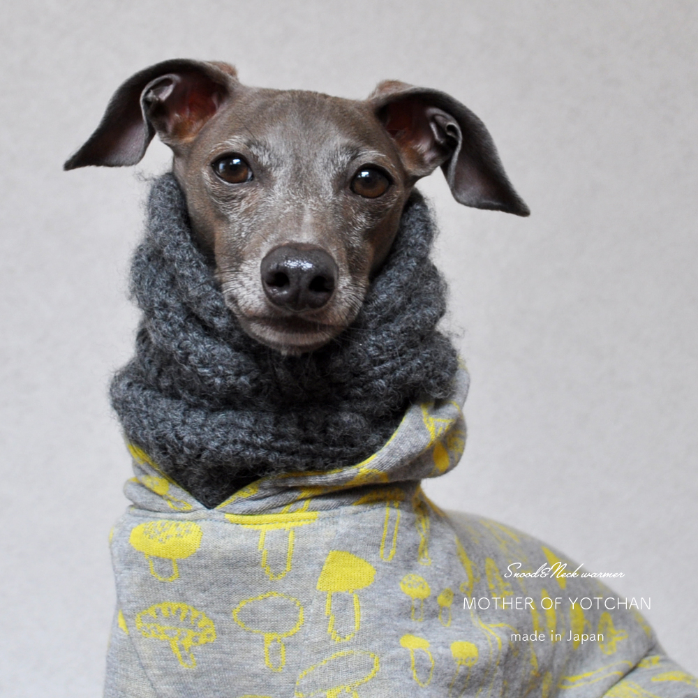 犬用スヌード ネックウォーマー 日本製ウール100 の毛糸を手編みしました Arata House