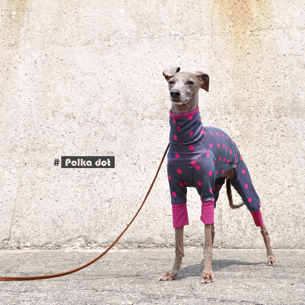 犬服｜水玉模様のジャガードニット｜選べる４タイプ×３カラー（オペラ/プルシアンブルー/サフランイエロー）