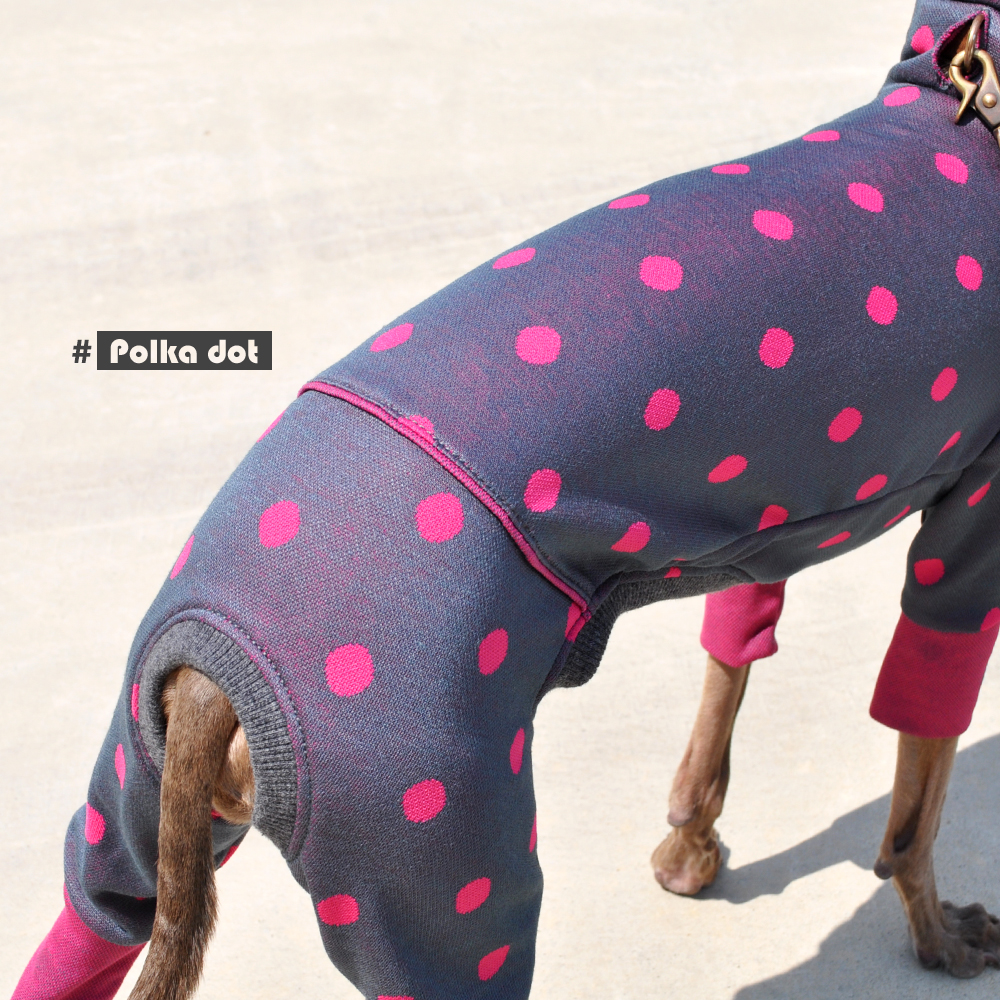 犬服｜水玉模様のジャガードニット｜選べる４タイプ×３カラー（オペラ/プルシアンブルー/サフランイエロー）