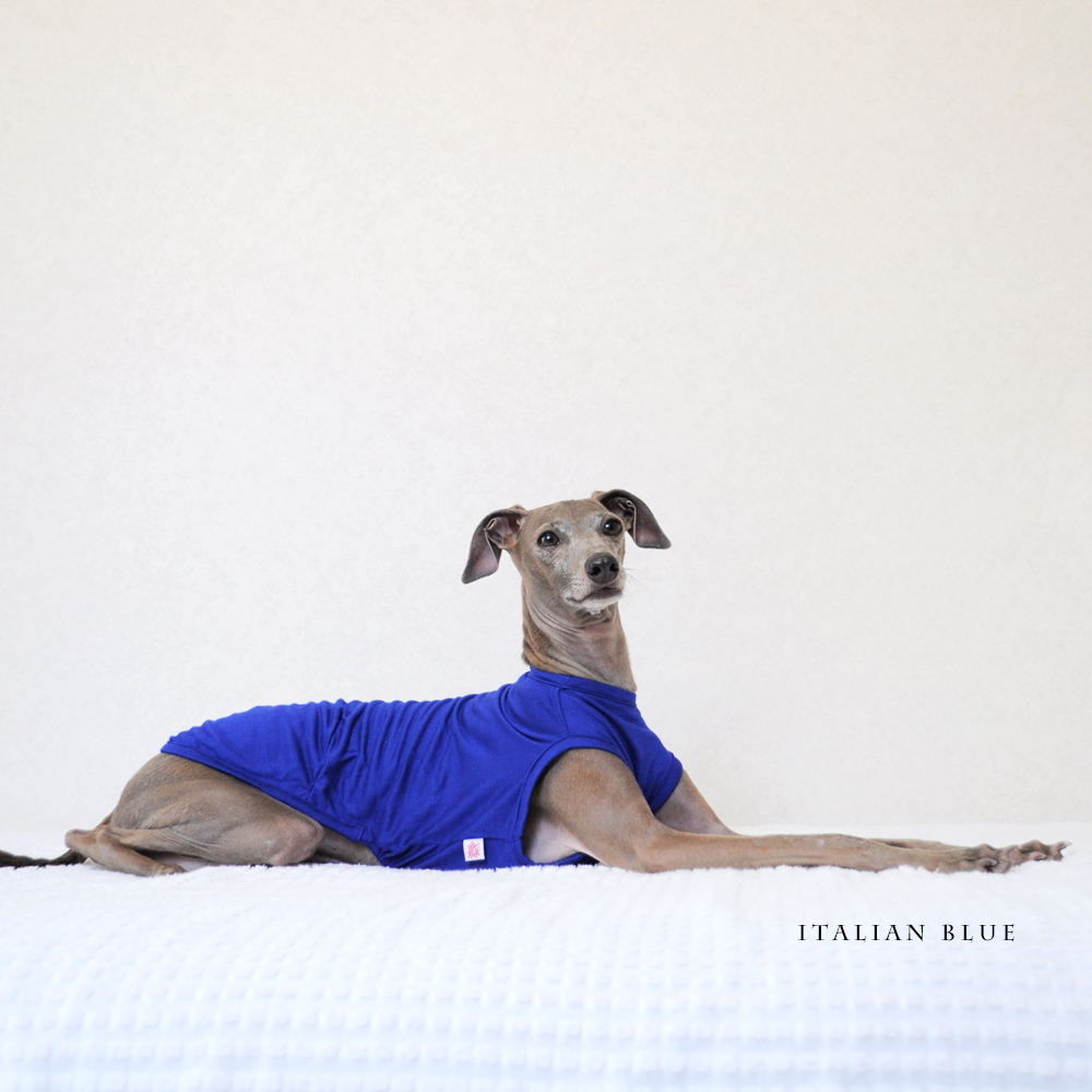 犬服｜Italian Blue｜イタリア製ストレッチ天竺ニット｜選べる４タイプ