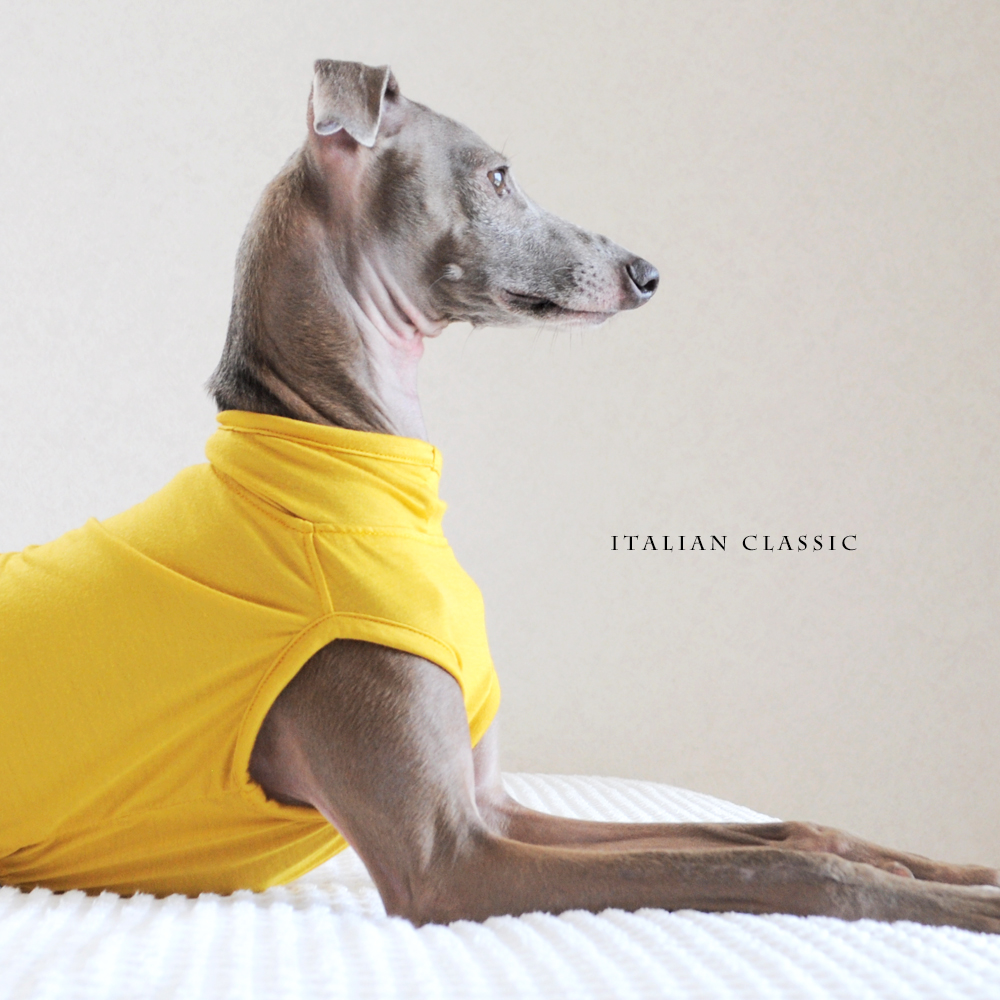 犬服｜Italian Classic｜イタリア製ストレッチ天竺ニット｜選べる４タイプ×３カラー（Blue/Gray/Yellow）