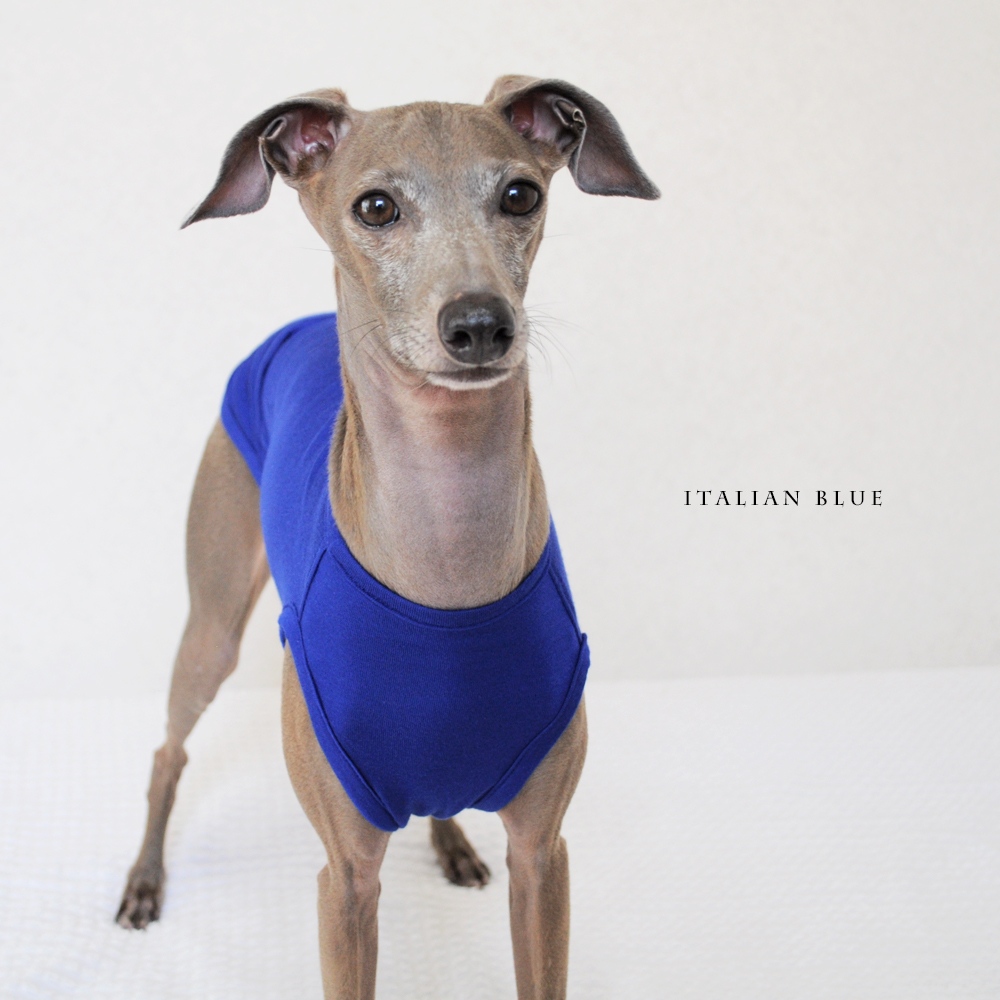 犬服｜Italian Blue｜イタリア製ストレッチ天竺ニット｜選べる４タイプ