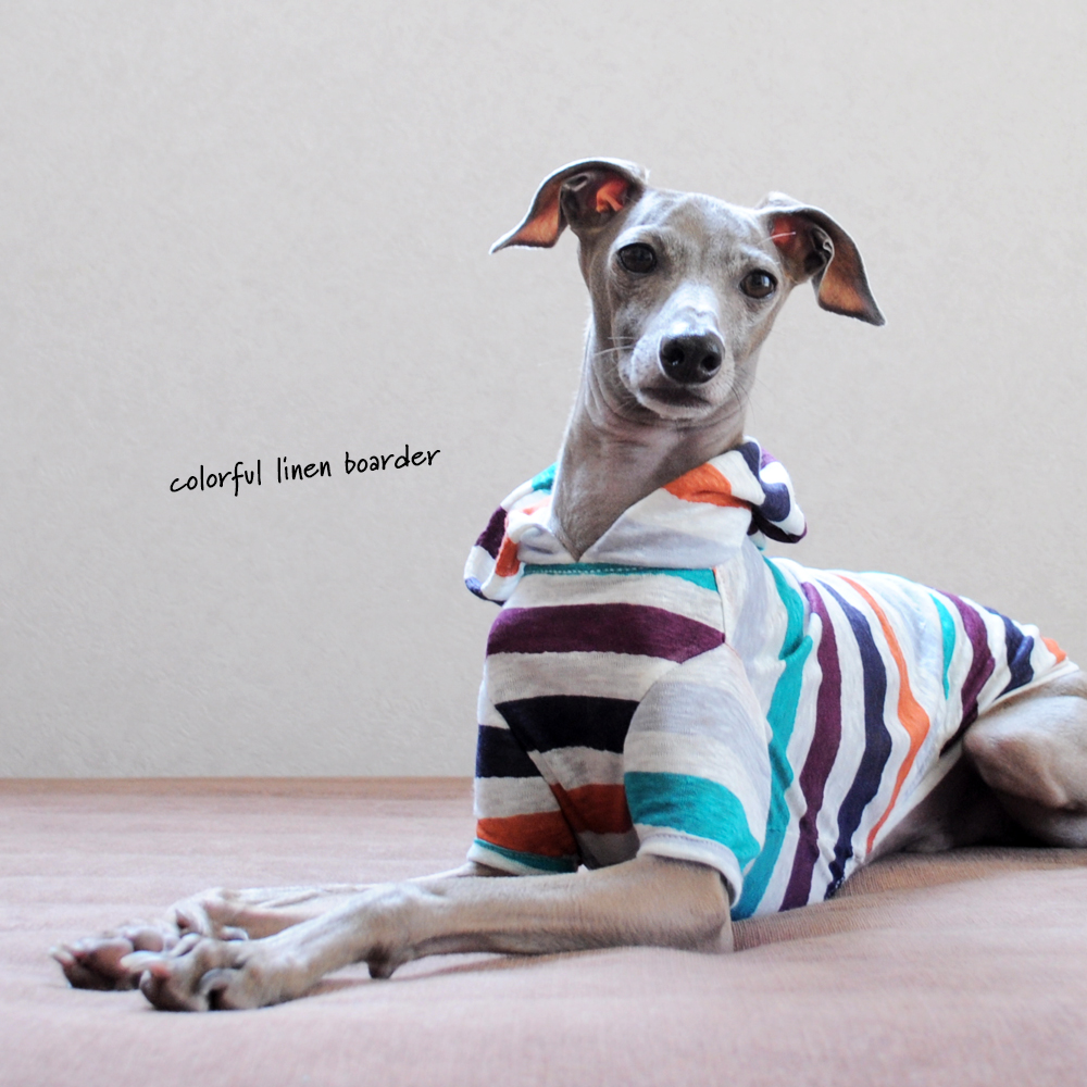犬服|カラフルなリネンボーダー|選べる4タイプ