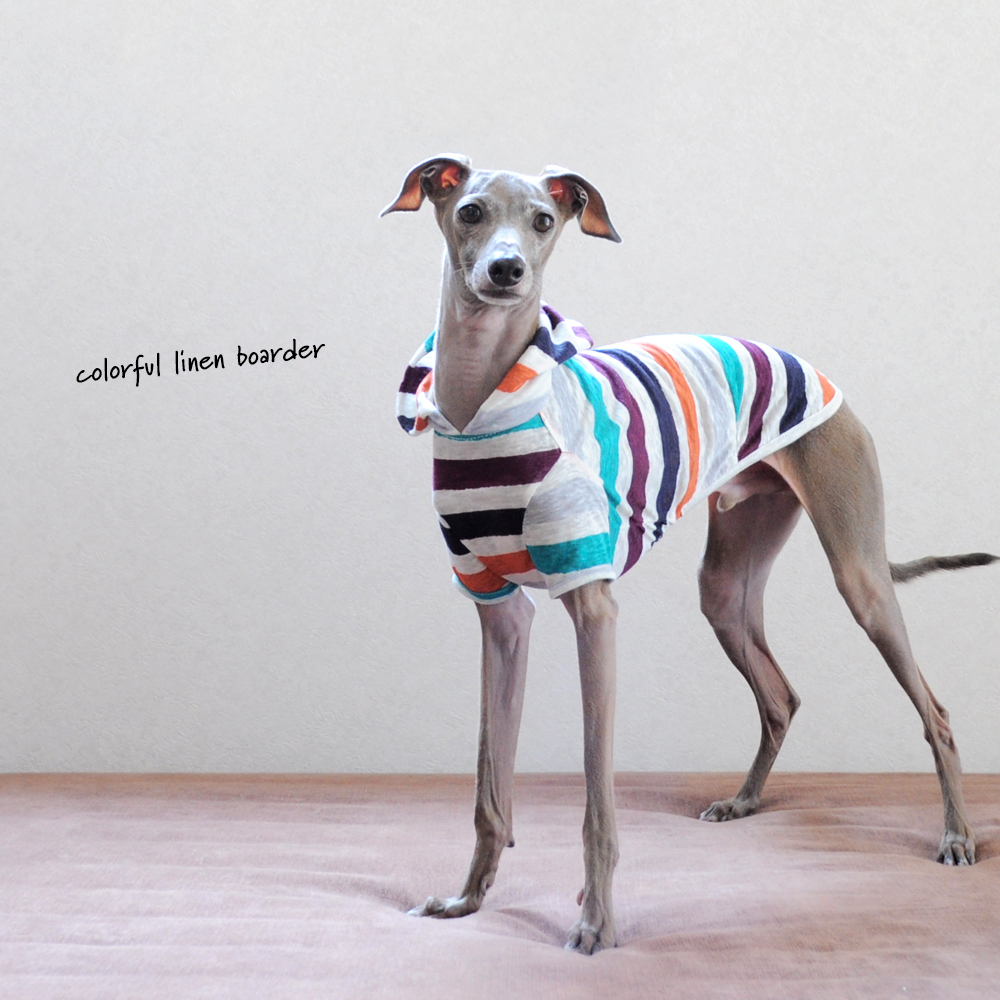 犬服|カラフルなリネンボーダー|選べる4タイプ