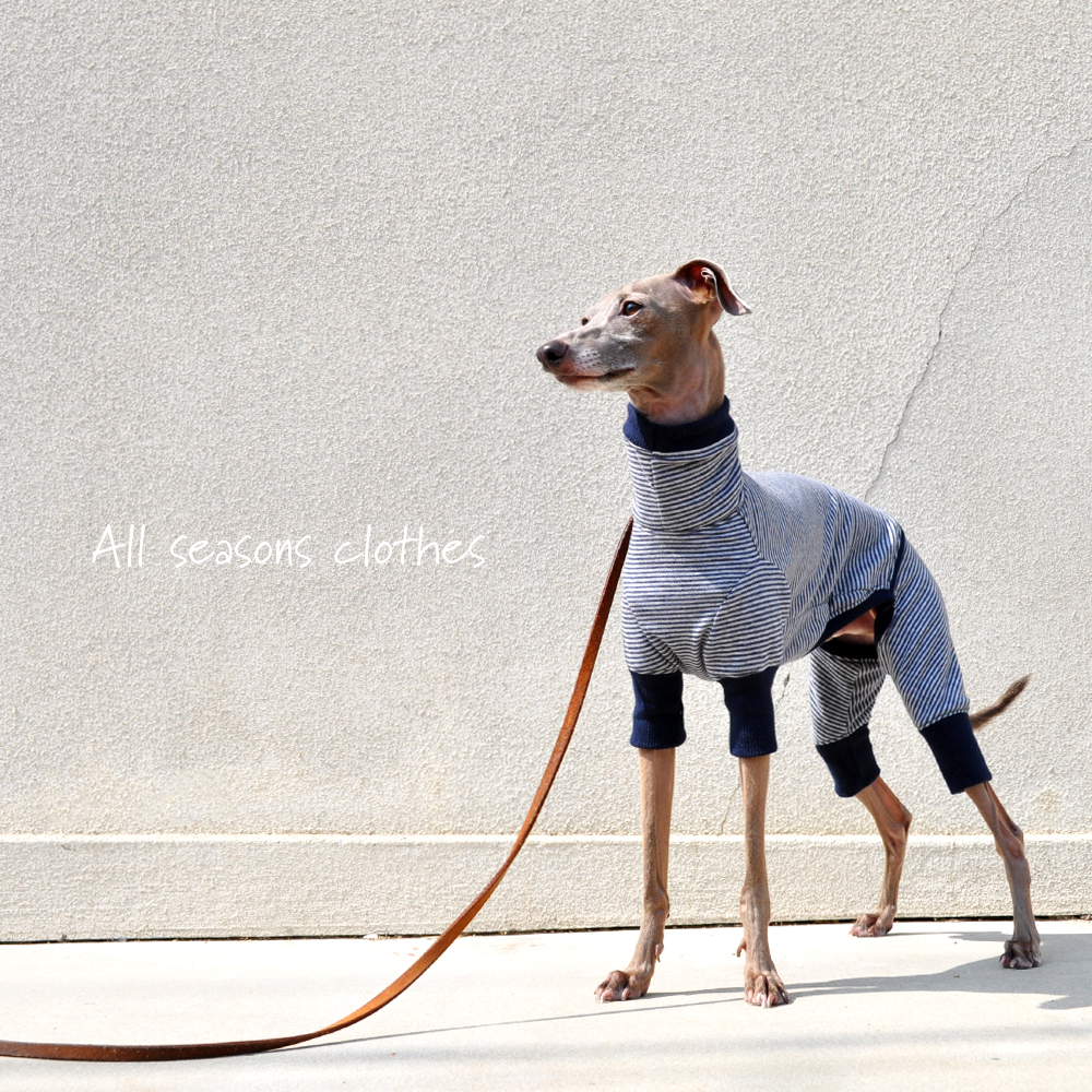 犬服|All seasons clothes|ボーダーニット|選べる4タイプ×3カラー(ベージュ/グレイ/ネイビー)