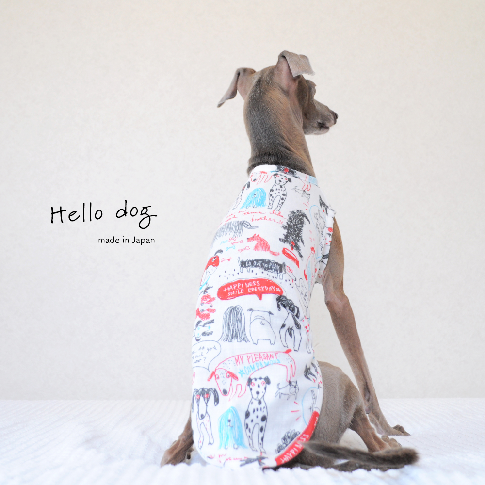 犬服｜Hello dog｜ダブルガーゼ×杢天竺ボーダーニット｜選べる３タイプ