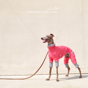 「新作犬服」人気のトレーナーシリーズにbabyタイプが登場!!|犬服|トレーナー|babyタイプ|選べる4タイプ×3カラー(ホワイト/グレイ/ピンク)