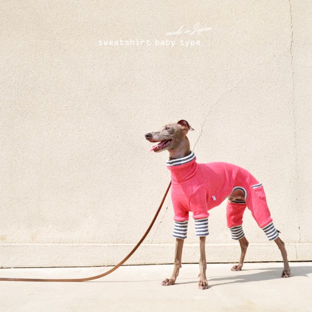 「新作犬服」人気のトレーナーシリーズにbabyタイプが登場！！｜犬服｜トレーナー｜babyタイプ｜選べる４タイプ×３カラー（ホワイト/グレイ/ピンク）