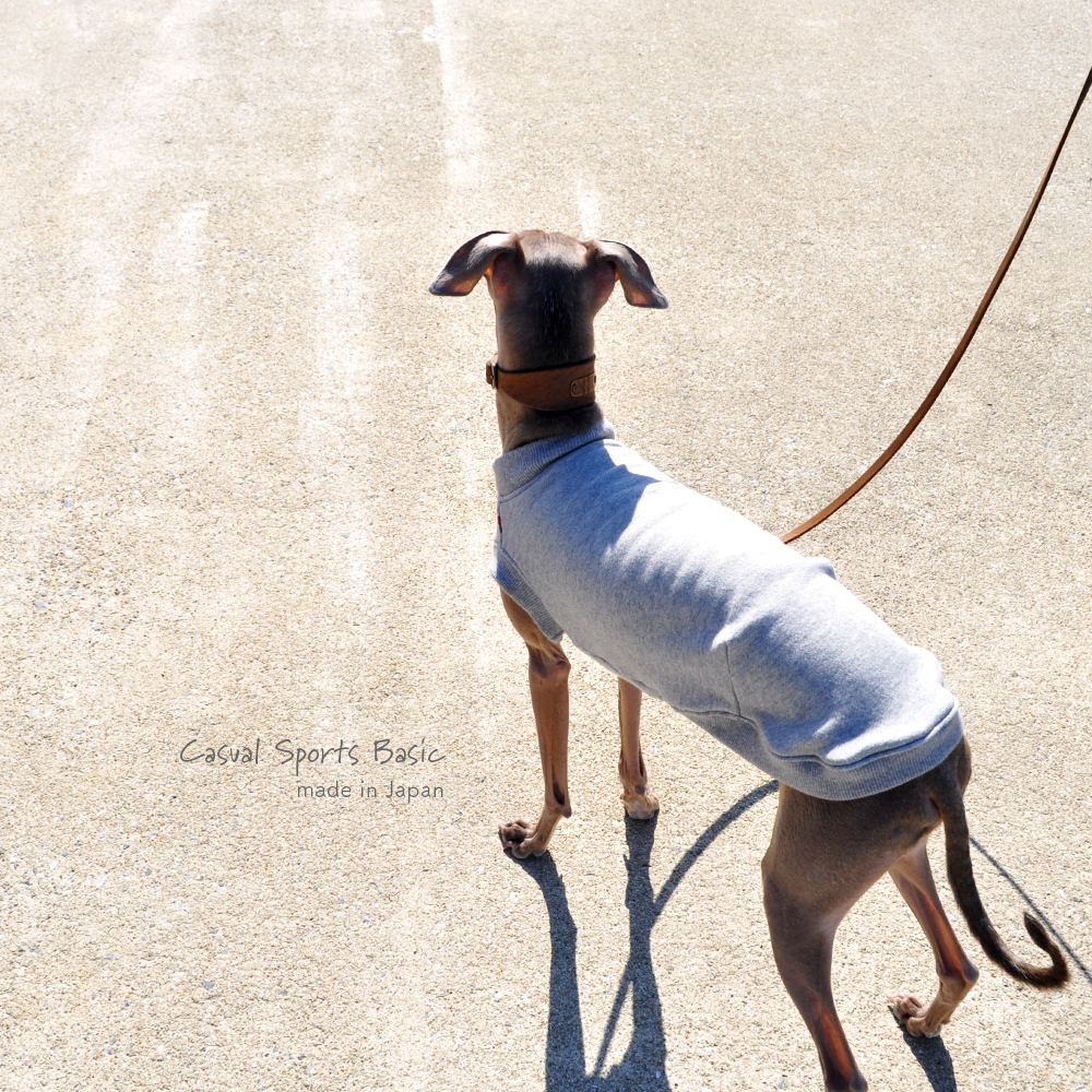 犬服｜Casual Sports Basic｜選べる４タイプ×２カラー（Grey/Navy）