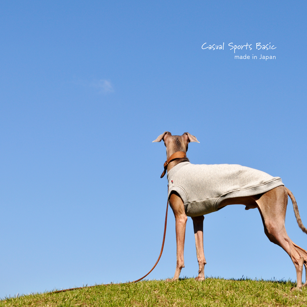 犬服｜Casual Sports Basic｜選べる４タイプ×２カラー（Grey/Navy）