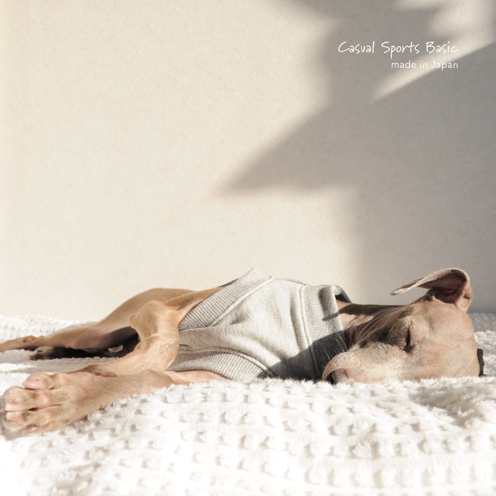 犬服｜Casual Sports Basic｜選べる４タイプ×２カラー（Grey/Navy）