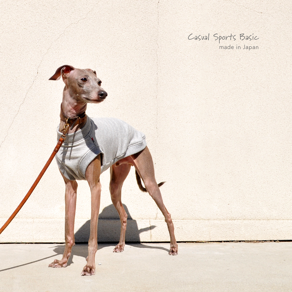 犬服｜Casual Sports Basic｜選べる４タイプ×２カラー（Grey/Navy）