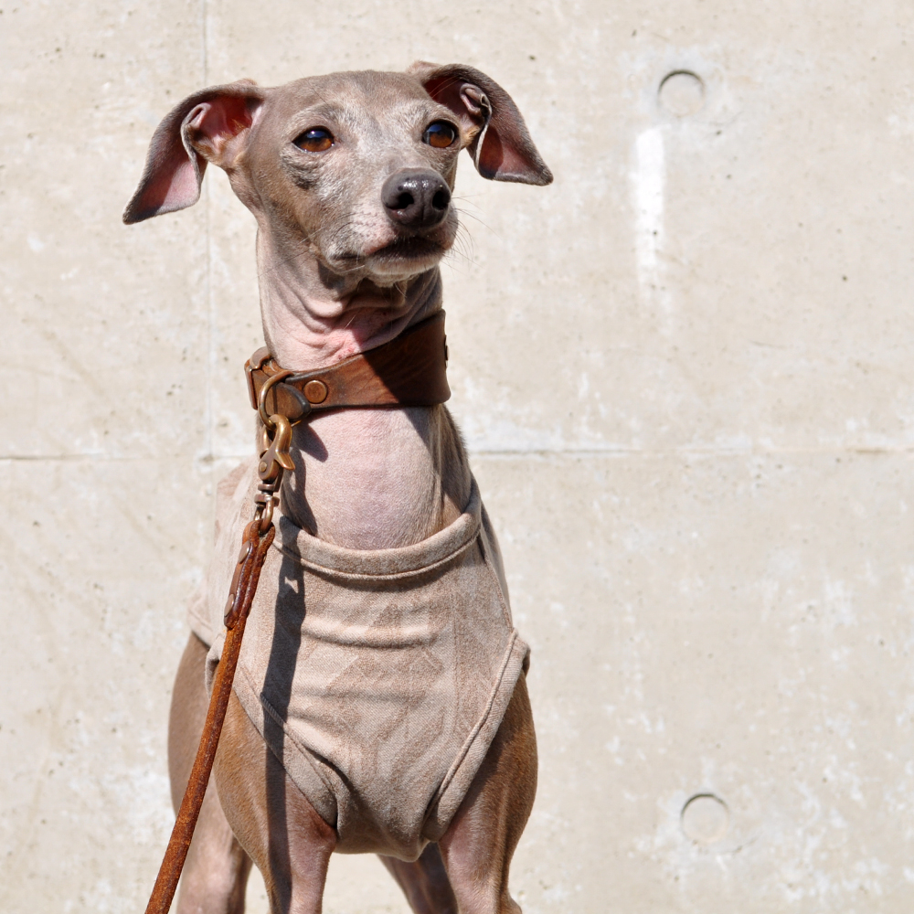 犬服|モダンな起毛ストレッチジャガード|選べる3タイプ×3カラー(ベージュ/カーキ/ブラック)