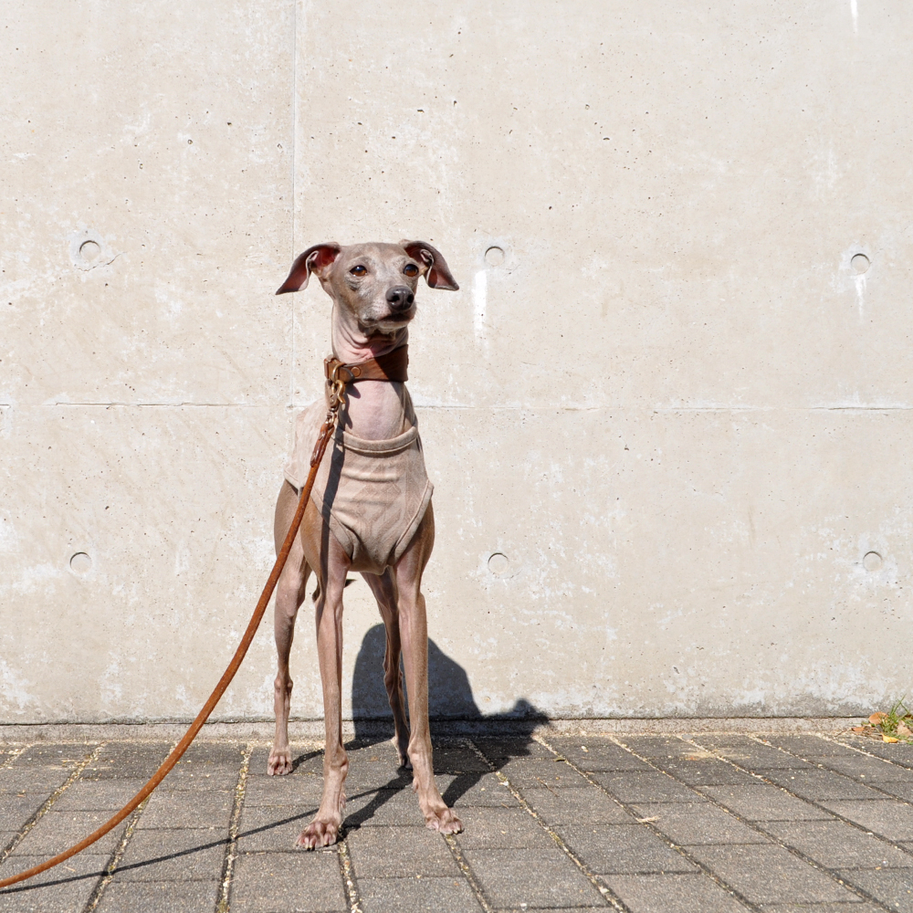 犬服|モダンな起毛ストレッチジャガード|選べる3タイプ×3カラー(ベージュ/カーキ/ブラック)