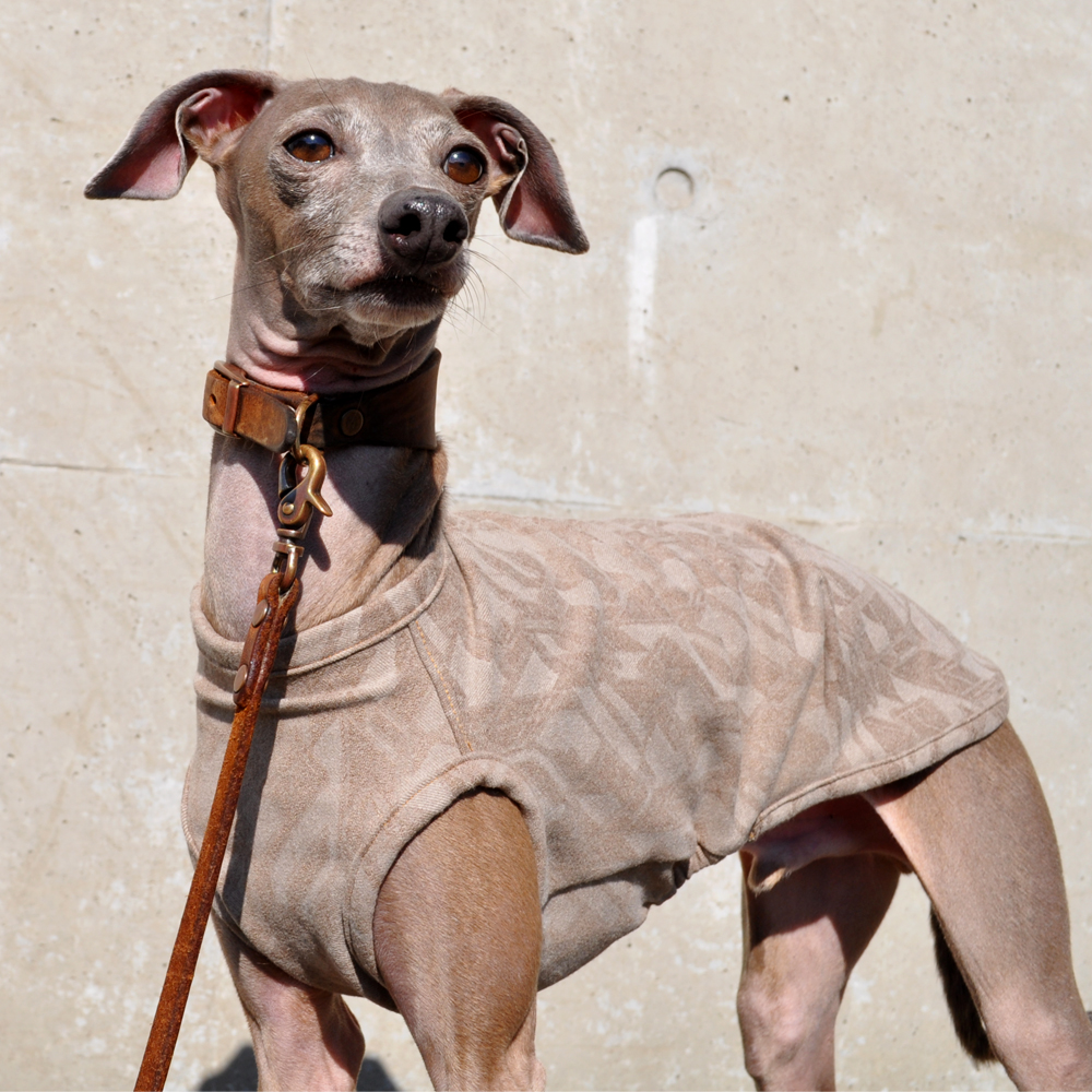 犬服|モダンな起毛ストレッチジャガード|選べる3タイプ×3カラー(ベージュ/カーキ/ブラック)