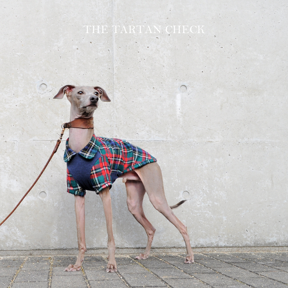 犬服｜THE TARTAN CHECK｜イギリス製タータンチェック生地｜選べる３タイプ×３カラー（ベージュ/ネイビー/グレイ）「丸襟カスタマイズ可能」