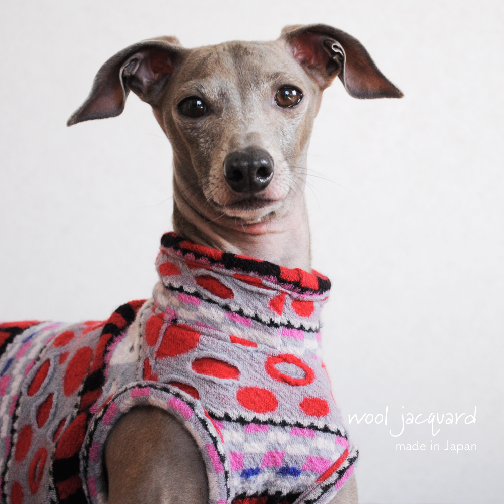 犬服|日本製ウールジャガード|選べる3タイプ×3カラー(Blue/Red/Black)