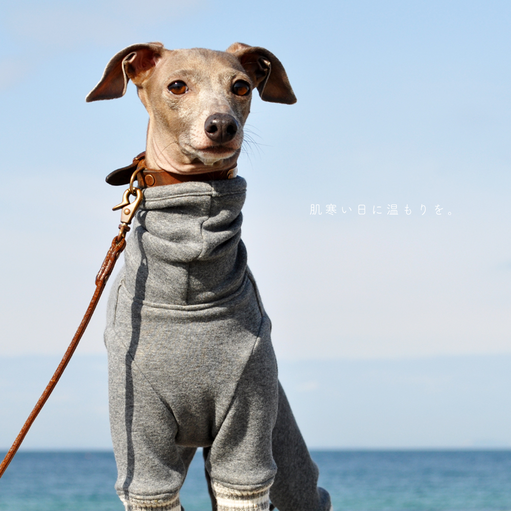 ありのままの犬服屋さんでありたい。｜犬服｜肌寒い日に温もりを。｜裏起毛ボンバーヒートニット（保温）｜選べる４タイプ