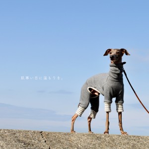ありのままの犬服屋さんでありたい。|犬服|肌寒い日に温もりを。|裏起毛ボンバーヒートニット(保温)|選べる4タイプ