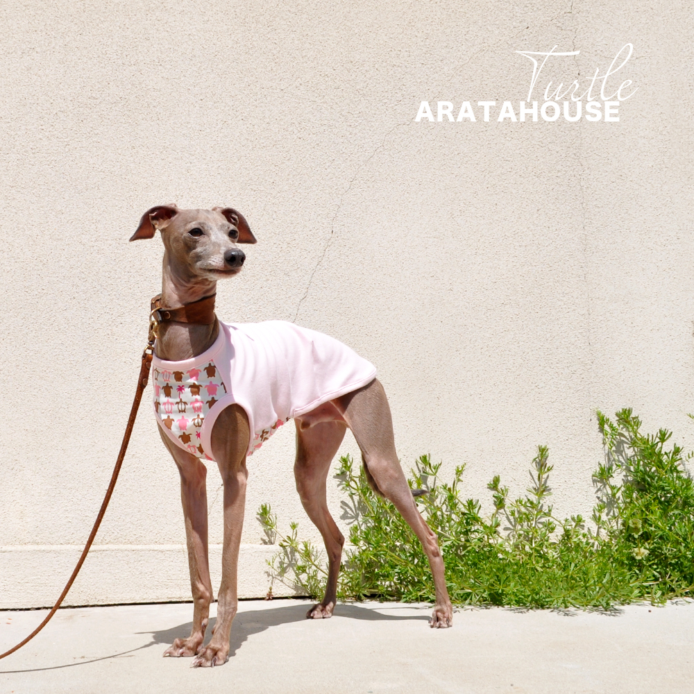 犬服|カメさん|選べる4タイプ