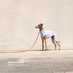 犬服|日本製ダブルフェイスボーダーニット(二重織りニット)|選べる4タイプ×3カラー(スカイブルー/イエロー/ライトグレイ)