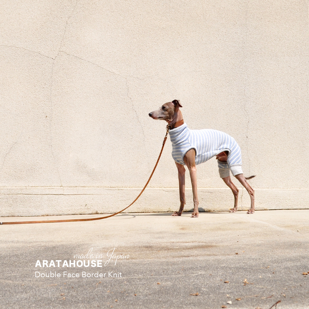 犬服|日本製ダブルフェイスボーダーニット(二重織りニット)|選べる4タイプ×3カラー(スカイブルー/イエロー/ライトグレイ)