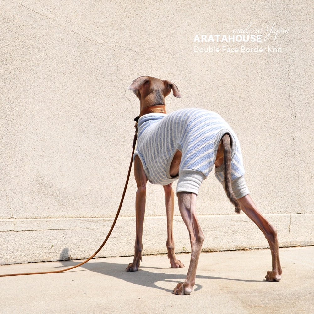 犬服|日本製ダブルフェイスボーダーニット(二重織りニット)|選べる4タイプ×3カラー(スカイブルー/イエロー/ライトグレイ)