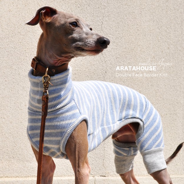 犬服｜日本製ダブルフェイスボーダーニット（二重織りニット）｜選べる４タイプ×３カラー（スカイブルー/イエロー/ライトグレイ）