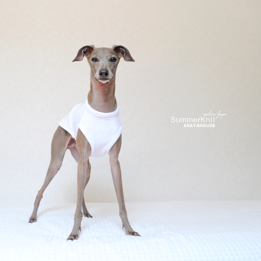 犬服|サマーニット|日本製コットン100%天竺ニット|選べる3タイプ×2カラー(純白/空色)