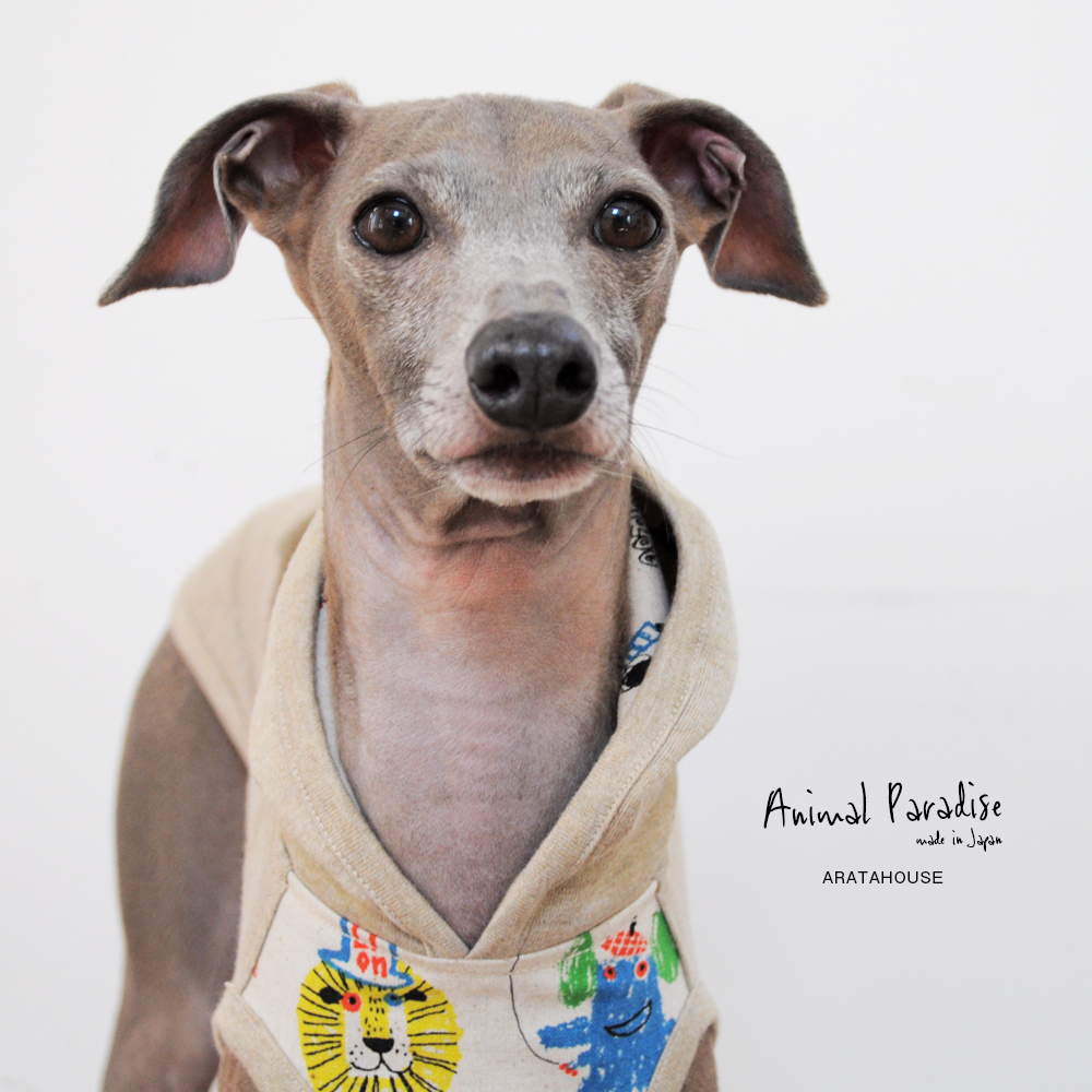 犬服|アニマルパラダイス|綿麻×杢天竺ニット|選べる4タイプ×3カラー(ベージュ/ネイビー/グレイ)