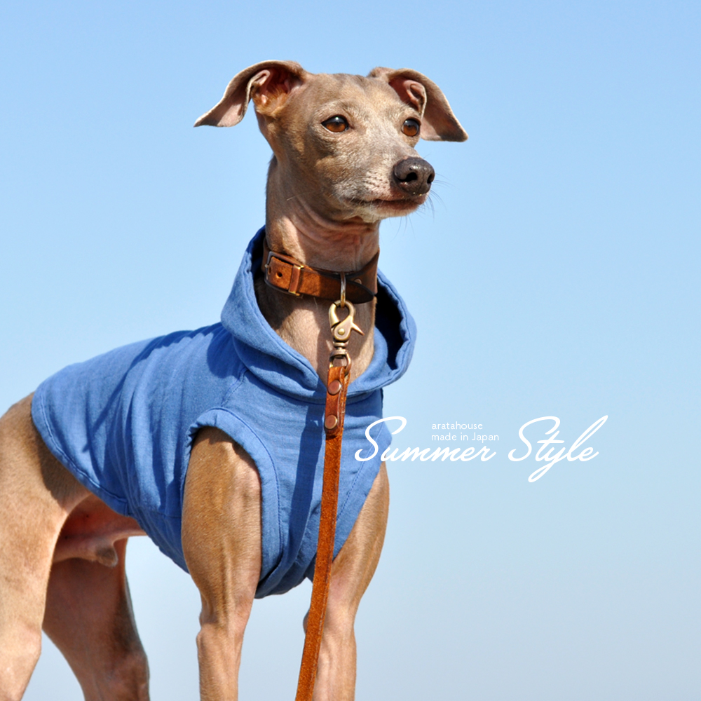 犬服|Summer Style|日本製コットンダブルガーゼ|選べる3タイプ×3カラー(Pink/Blue/Green)