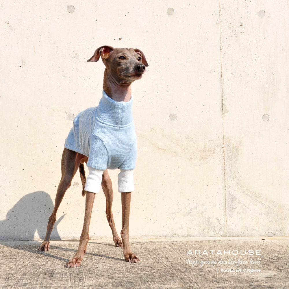 犬服｜日本製コットンハイゲージダブルフェイスニット（二重織りニット）｜選べる４タイプ×２カラー（ホワイト/スカイブルー）