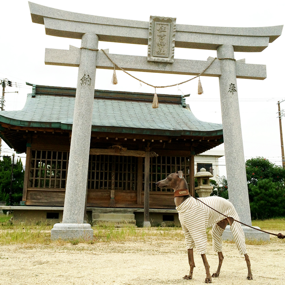 10月1日に想うこと。「風を感じ、匂いを感じ、季節を感じる」