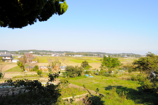 イタホイ祭りに 焼き芋 を食いに行く In 三重県四日市 ドッグランbowwow Hills Arata House