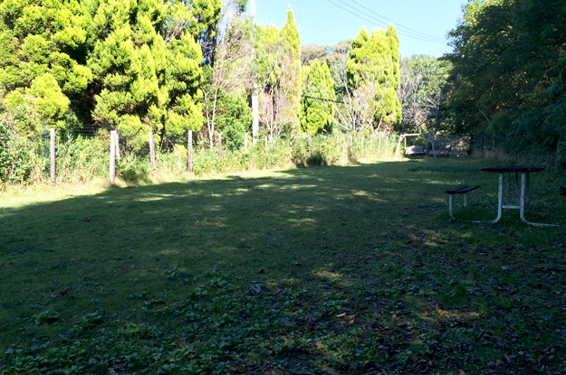 地元古代米や自家製無農薬野菜がとっても嬉しいランチ|淡路島@犬と一緒に行けるカフェ「lauhbe」