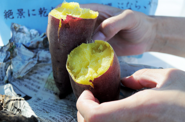 イタホイ祭りに「焼き芋」を食いに行く。in 三重県四日市「ドッグランBowwow Hills」
